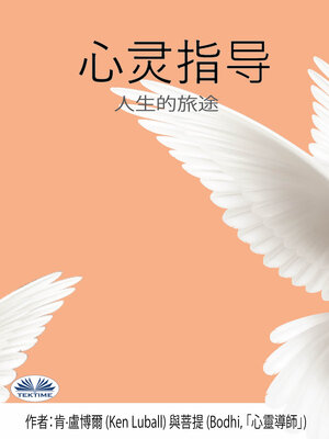 cover image of 心灵指导
